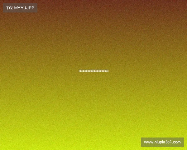 法甲赛季欧冠名额分配规则与争夺形势解析 法甲赛季欧冠名额分配规则与争夺形势解析